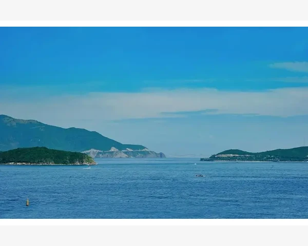 初级会计师免考条件与申请流程全解答